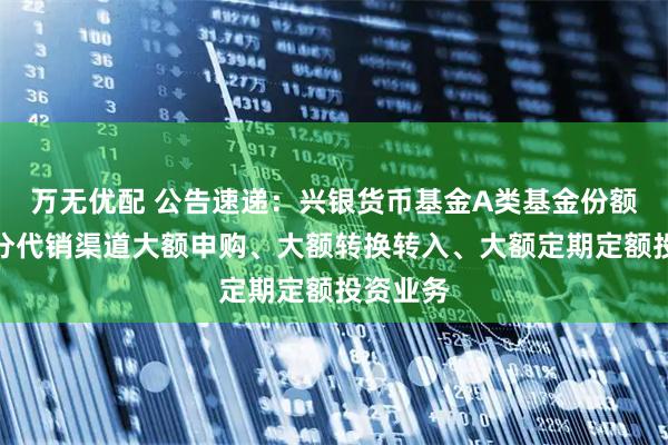万无优配 公告速递：兴银货币基金A类基金份额调整部分代销渠道大额申购、大额转换转入、大额定期定额投资业务