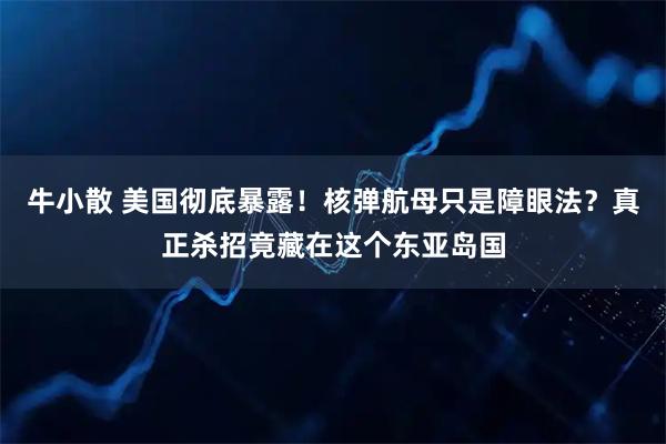 牛小散 美国彻底暴露！核弹航母只是障眼法？真正杀招竟藏在这个东亚岛国