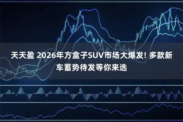天天盈 2026年方盒子SUV市场大爆发! 多款新车蓄势待发等你来选