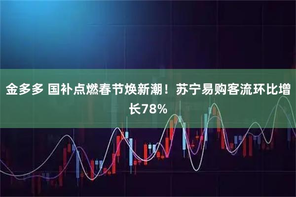 金多多 国补点燃春节焕新潮！苏宁易购客流环比增长78%