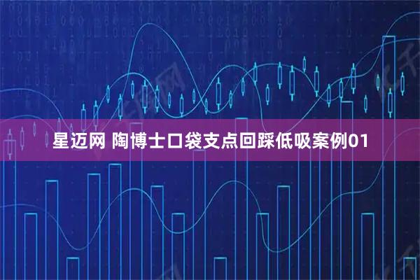 星迈网 陶博士口袋支点回踩低吸案例01